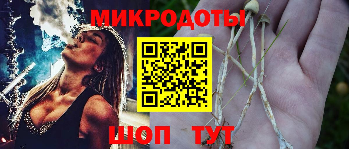 Моздок  Псилоцибиновые грибы Psilocybe  Псилоцибиновые грибы Magic Shrooms  Вход с VPN 