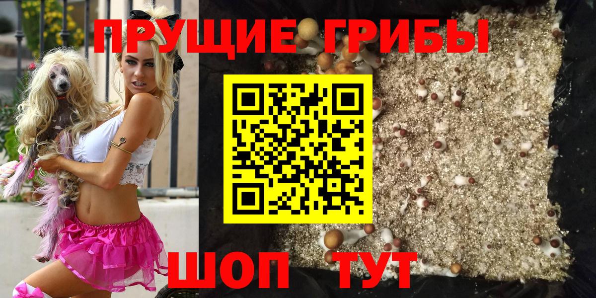 Псилоцибиновые грибы MAGIC MUSHROOMS Моздок